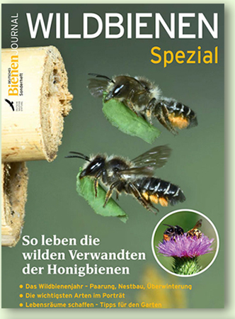 Cover Wildbienen Spezial